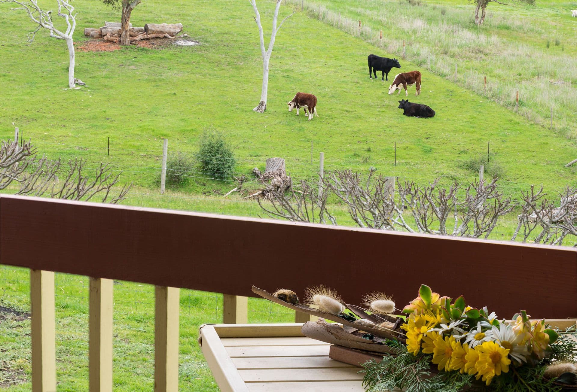 25 Colbert Road, Kangarilla SA 5157, Kangarilla - Thumbnail 2
