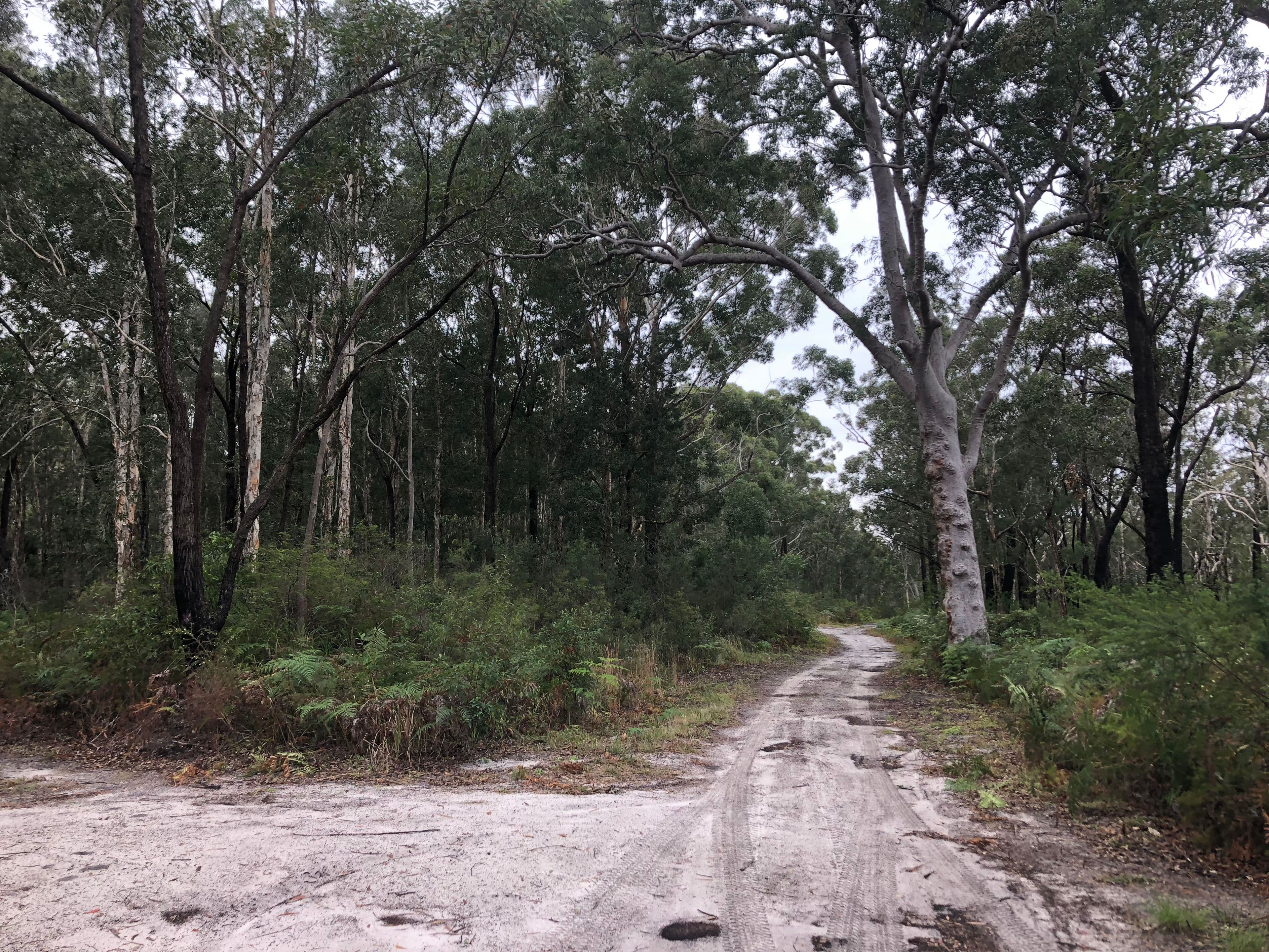 Lot 9 Challis Avenue, Pindimar NSW 2324, Pindimar - Thumbnail 3