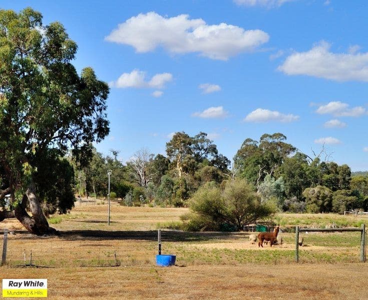 2 White Gum Glen, BEECHINA WA 6556, Beechina - Thumbnail 7