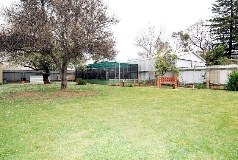 319 Sir Donald Bradman Drive, BROOKLYN PARK SA 5032, Brooklyn Park - Thumbnail 7