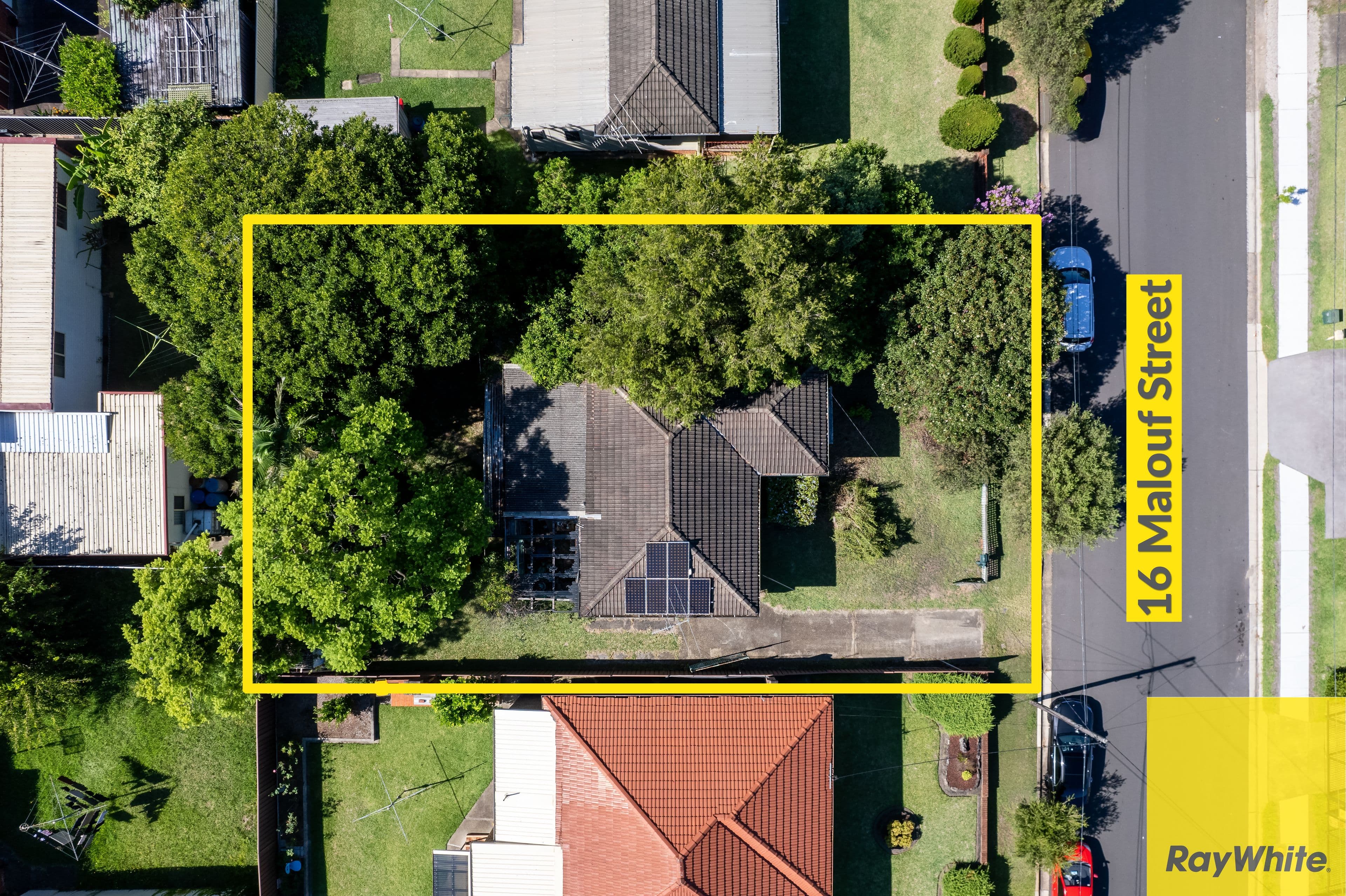 16 Malouf Street, Canley Heights NSW 2166, Canley Heights - Image 1
