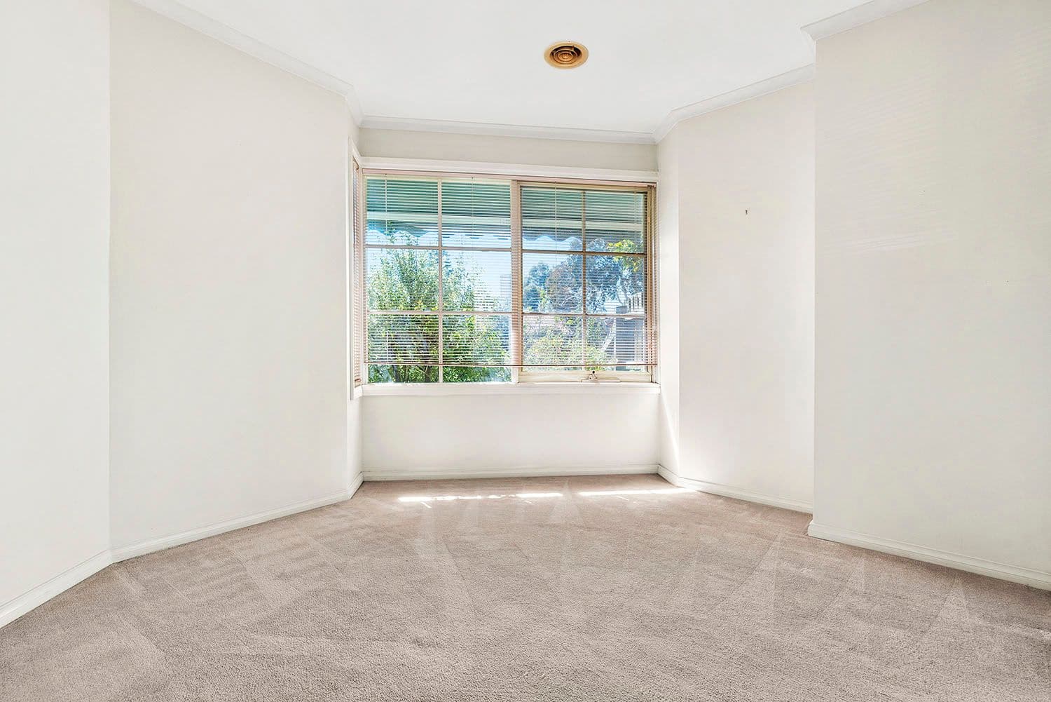 11 Hoffman Street, Cheltenham VIC 3192, Cheltenham - Thumbnail 8