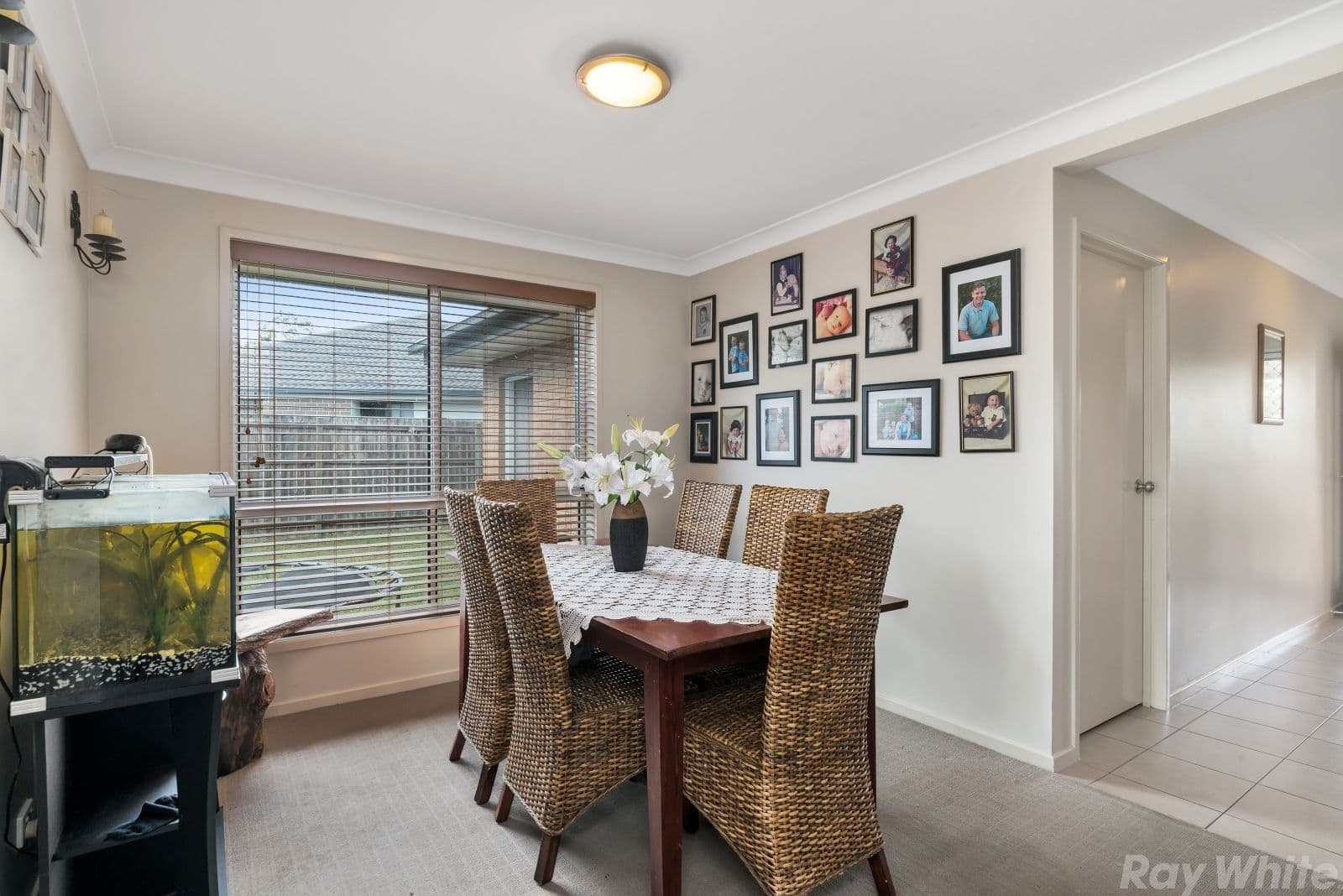 9 Steamview Court, Burpengary QLD 4505, Burpengary - Thumbnail 4