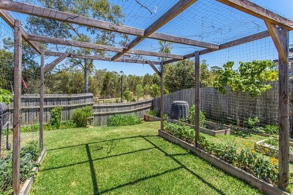 1 Jan Court, Caboolture QLD 4510, Caboolture - Thumbnail 3