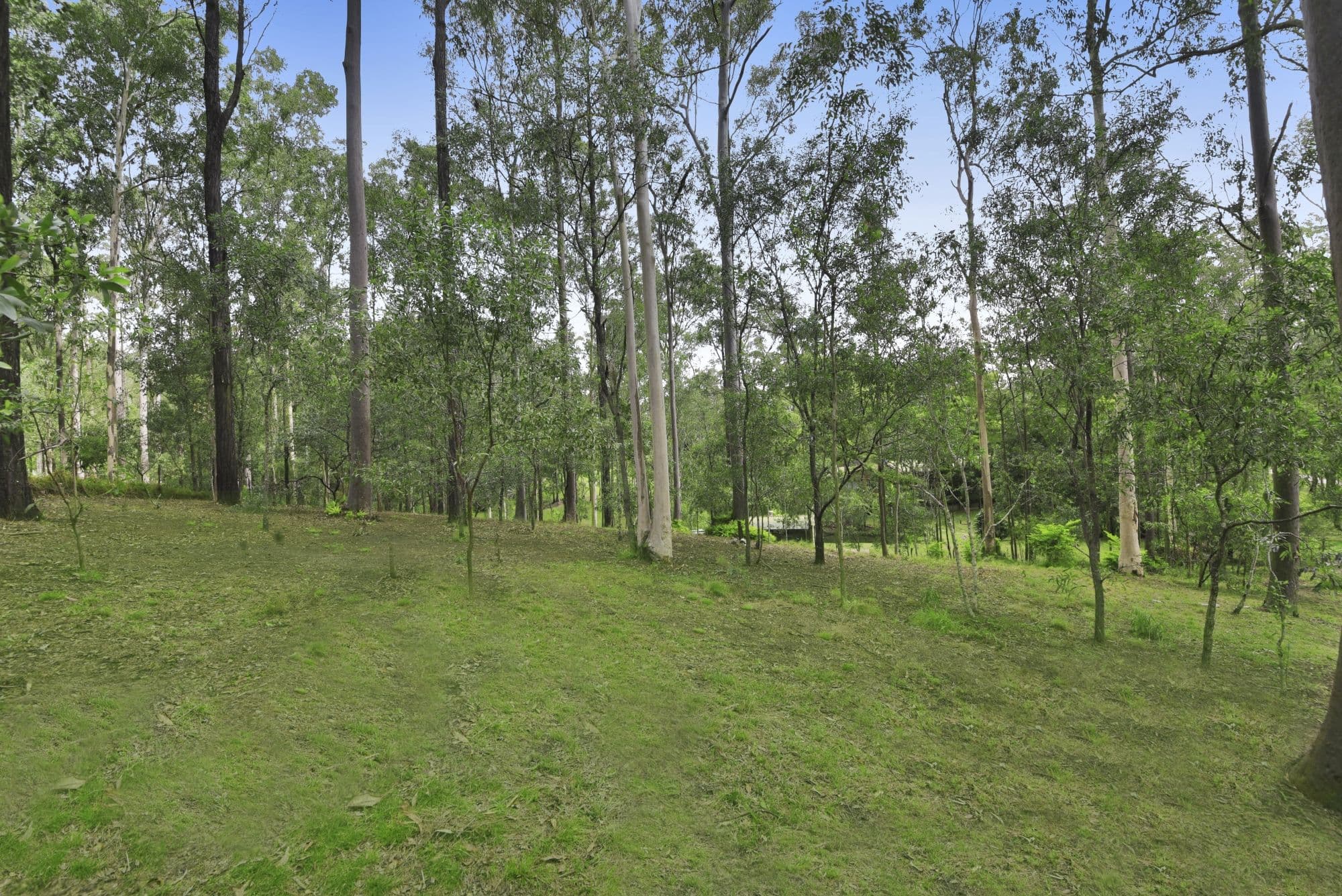 10 Ireland Court, Cashmere QLD 4500, Cashmere - Thumbnail 7