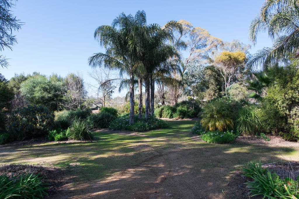 21 Wanani Road, Mulwala NSW 2647, Mulwala - Thumbnail 4