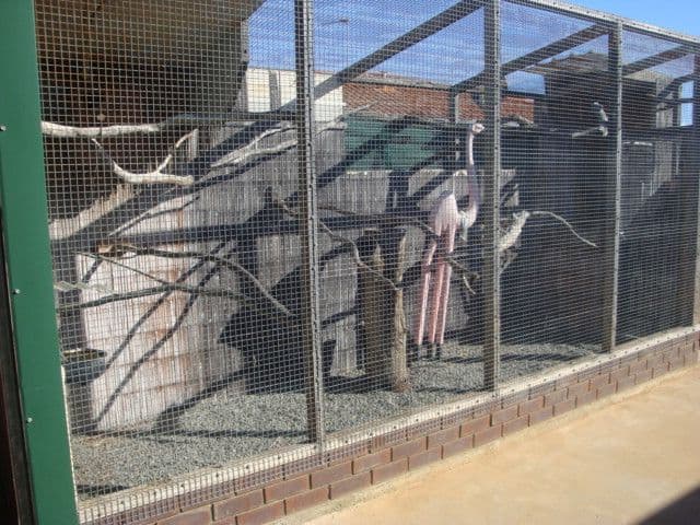 21 Dodd Street, DONGARA WA 6525, Dongara - Thumbnail 6
