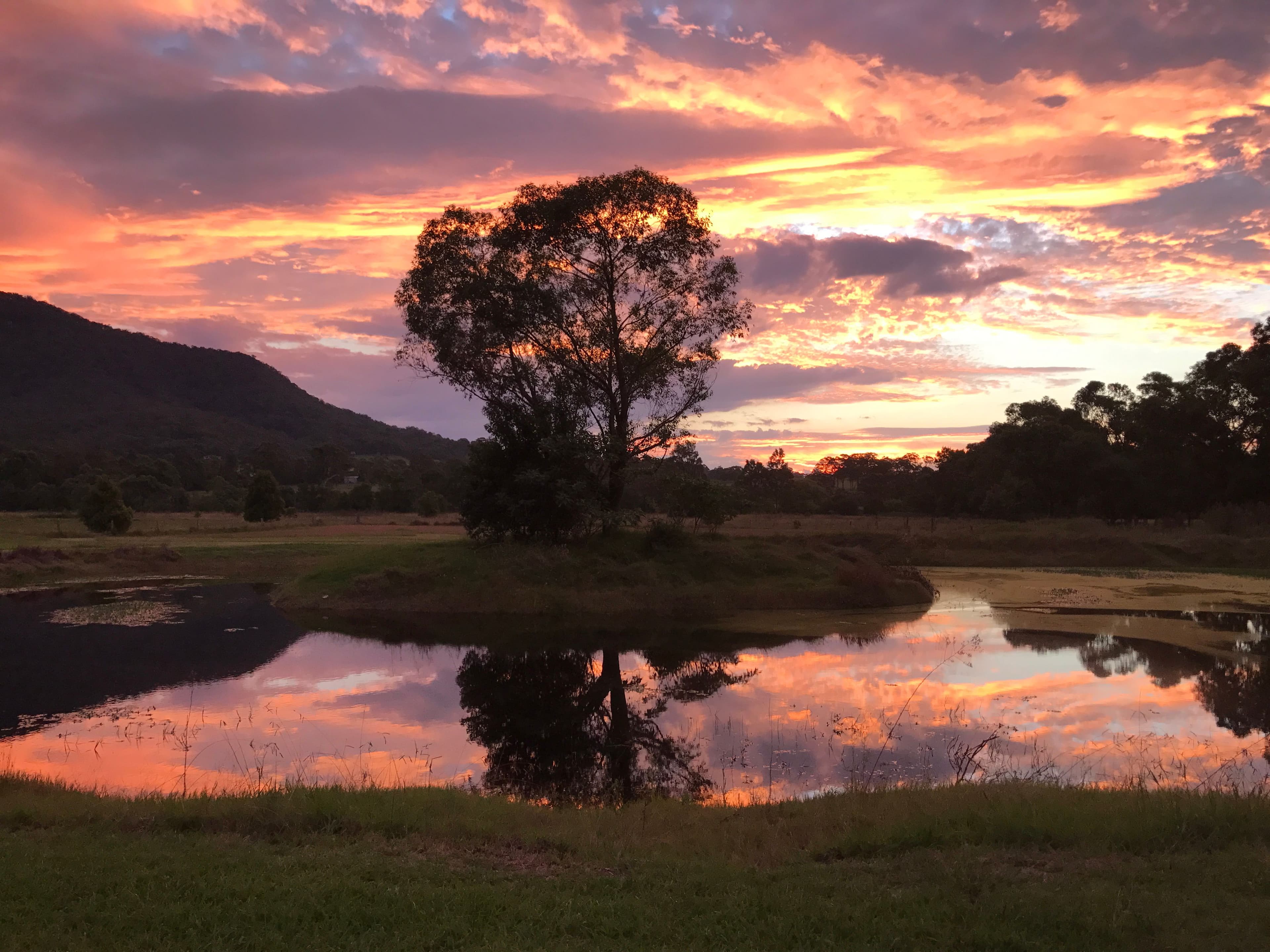 1292 Leggetts Drive, Brunkerville NSW 2323, Brunkerville - Thumbnail 5
