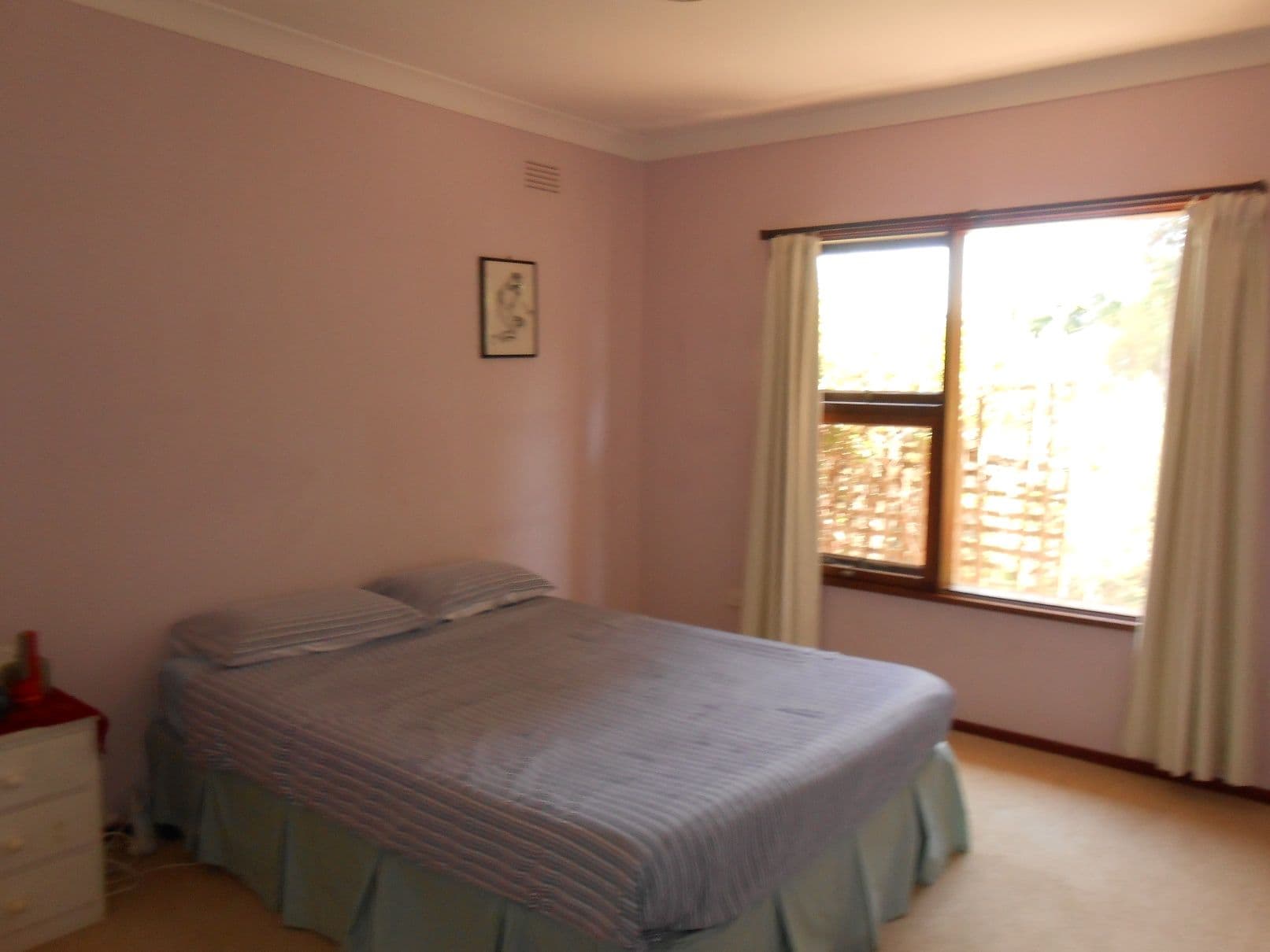 10 Bruce Street, TOLLAND NSW 2650, Tolland - Thumbnail 2