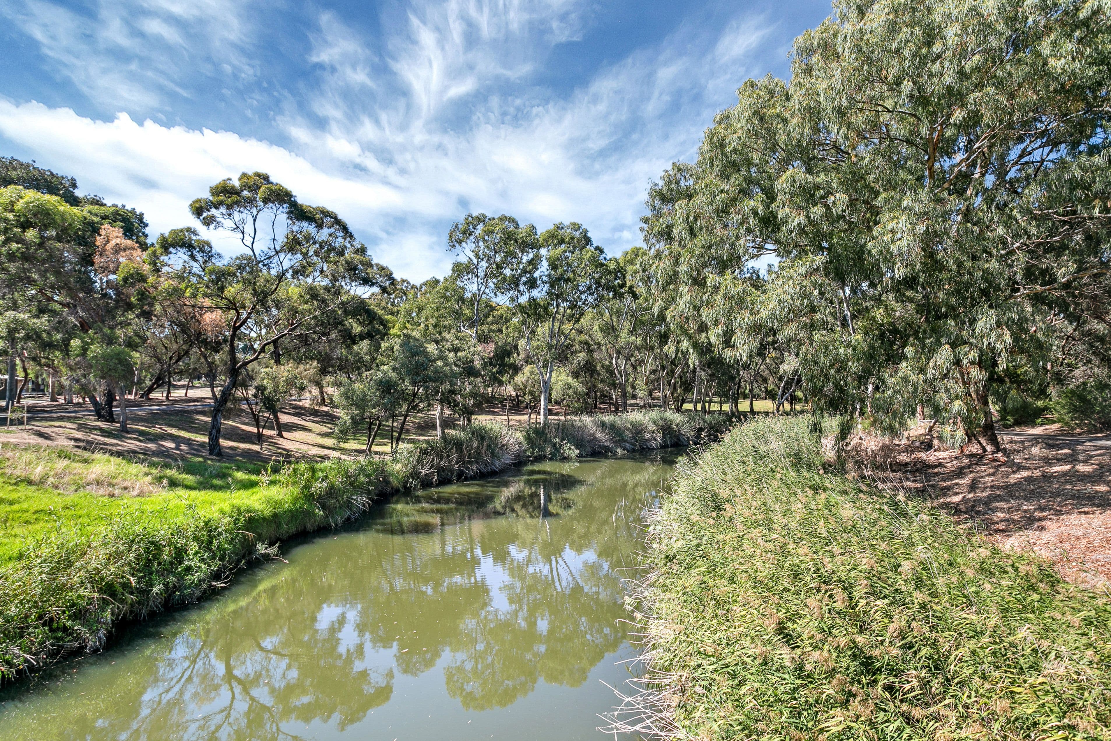 33 Lasscock Avenue, Lockleys SA 5032, Lockleys - Image 1