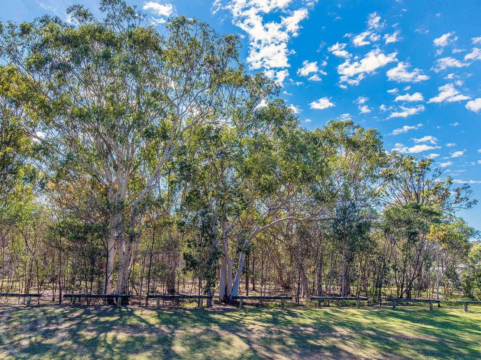 45 Wood Street, Manly QLD 4179, Manly - Thumbnail 4
