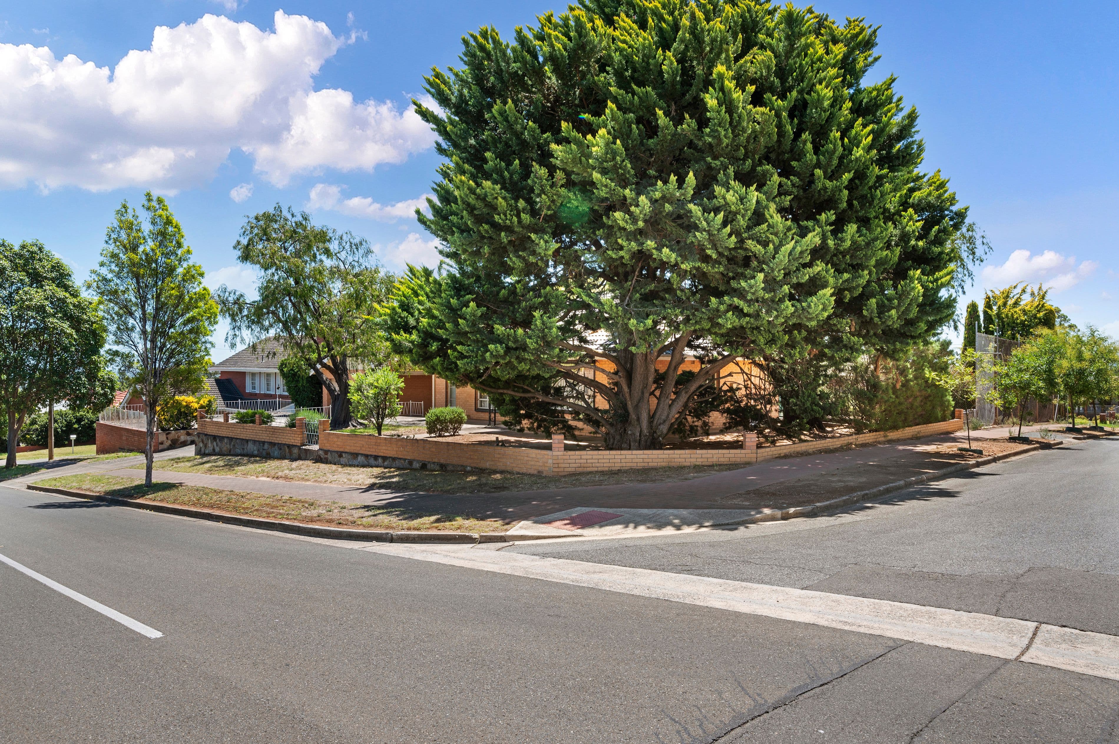 25 Cortlyne Road, Rostrevor SA 5073, Rostrevor - Thumbnail 4