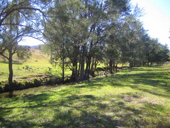 GLENDON BROOK NSW 2330, Glendon Brook - Thumbnail 7