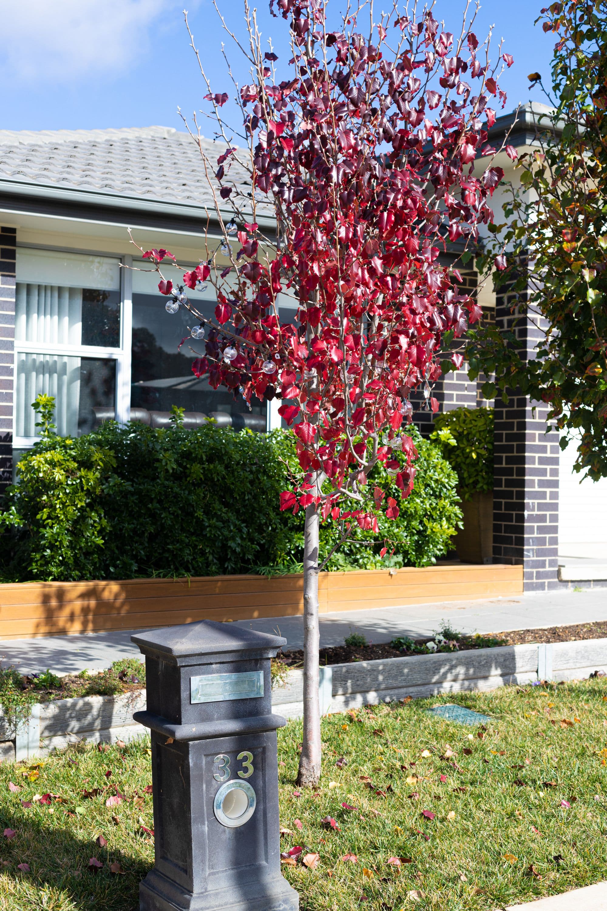 33 Essie Coffey Street, Bonner ACT 2914, Bonner - Thumbnail 3