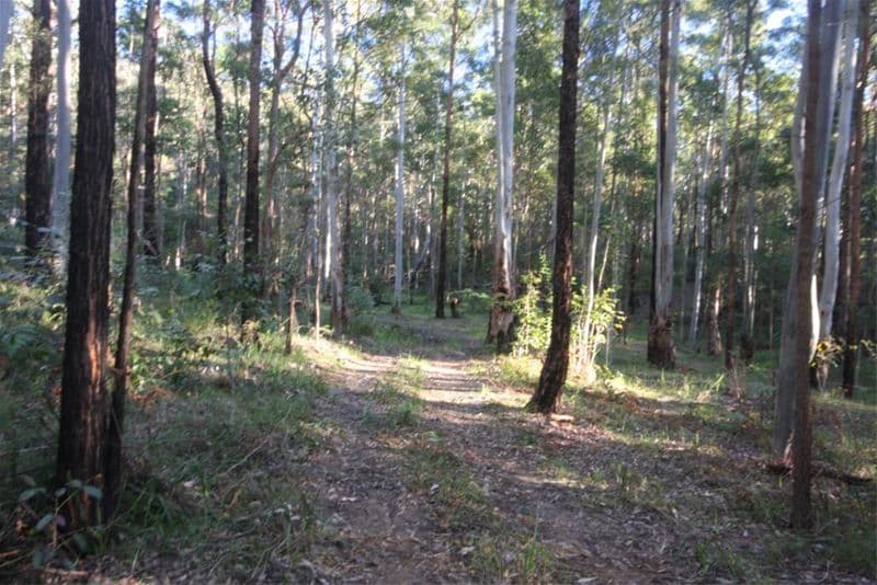 Lot 6 Mathews Valley Road, COORANBONG NSW 2265, Cooranbong - Image 1