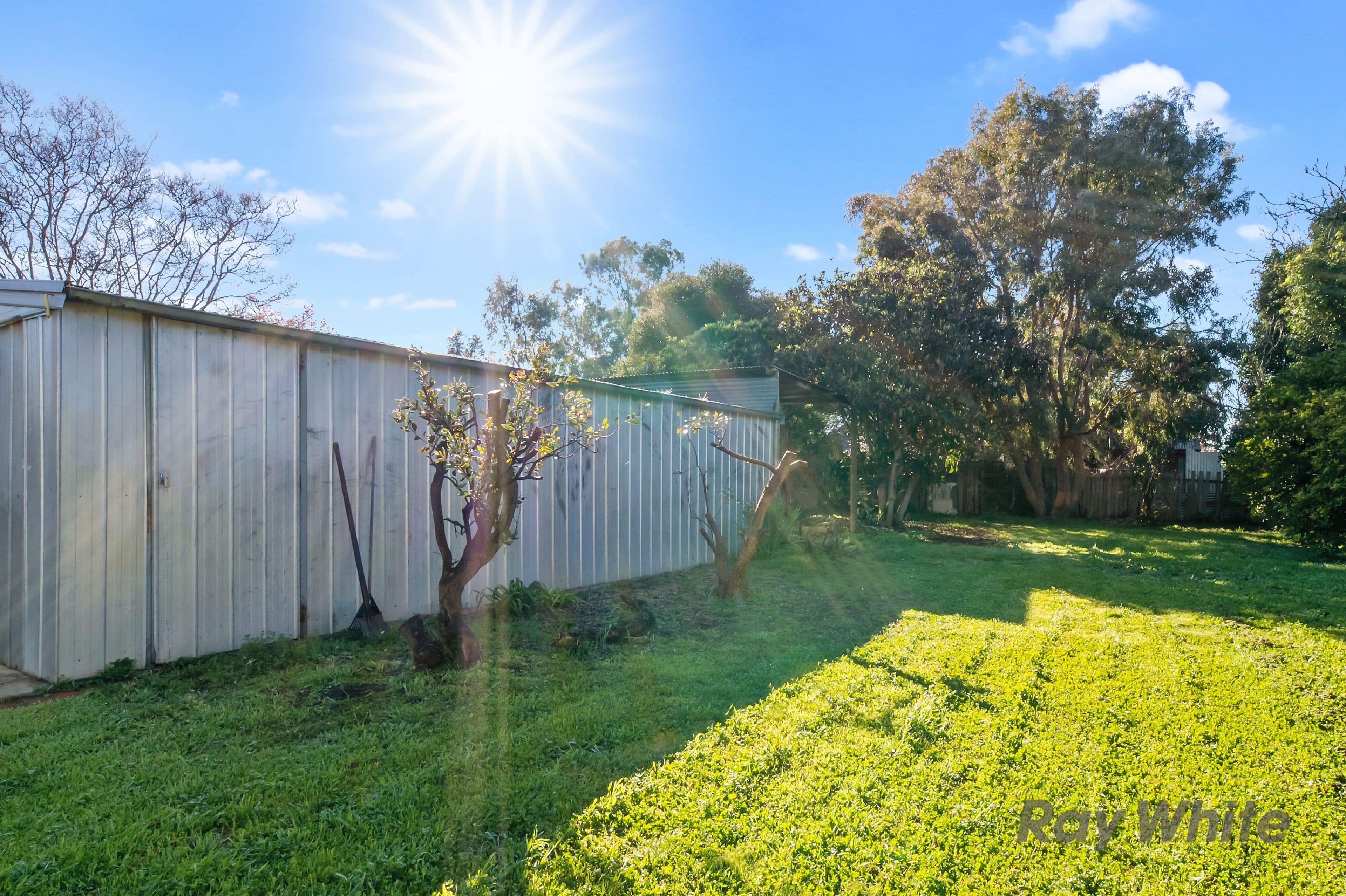 20 Maginness Street, Benalla VIC 3672, Benalla - Thumbnail 8