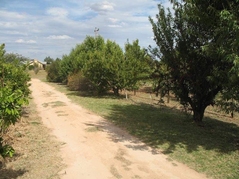 183 Mellis Street, MILDURA VIC 3500, Mildura - Thumbnail 4