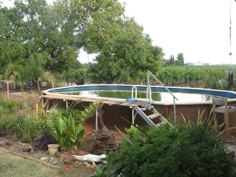 183 Mellis Street, MILDURA VIC 3500, Mildura - Thumbnail 5