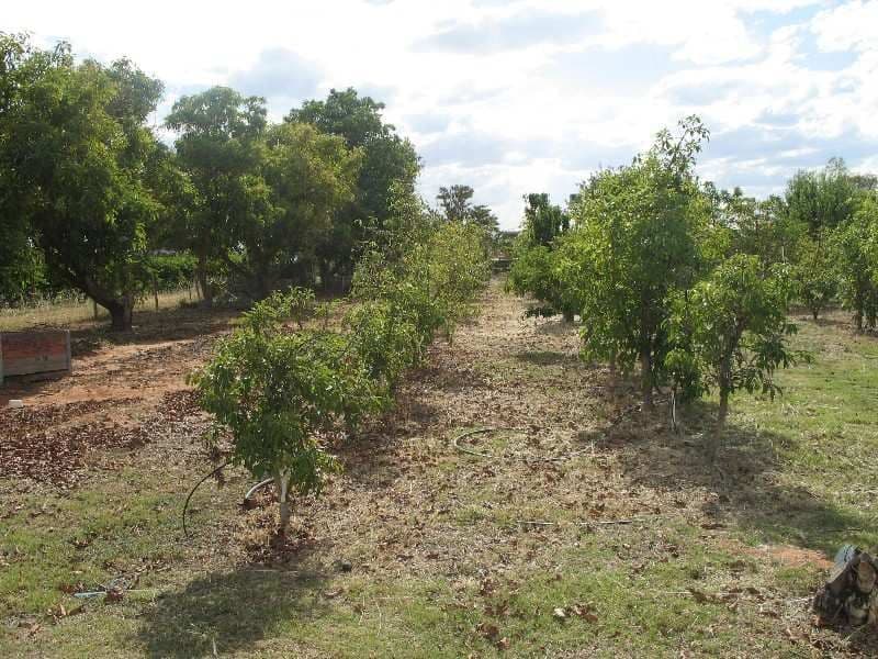 183 Mellis Street, MILDURA VIC 3500, Mildura - Thumbnail 6