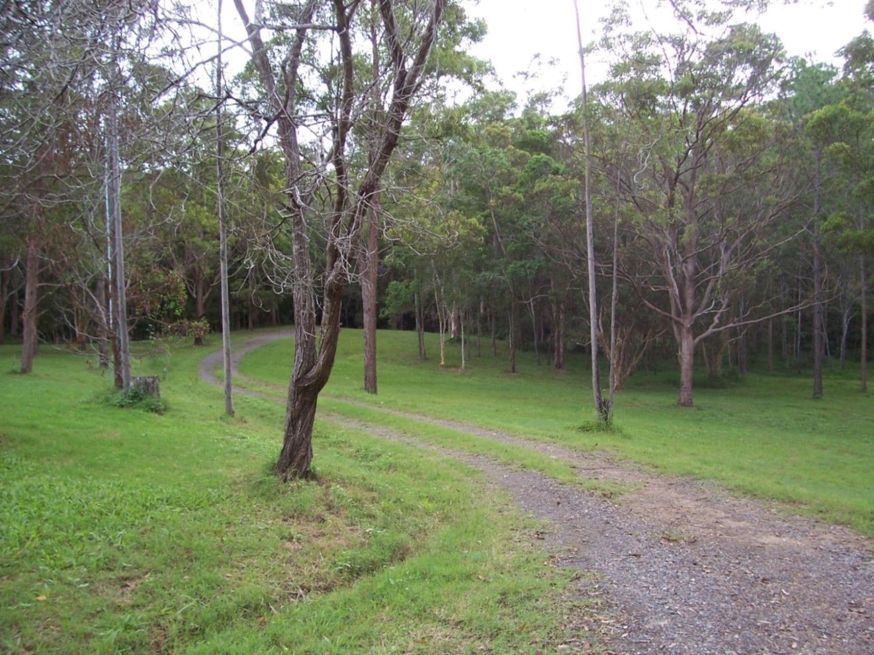 22 Allarado Place, TAMAREE QLD 4570, Tamaree - Thumbnail 6