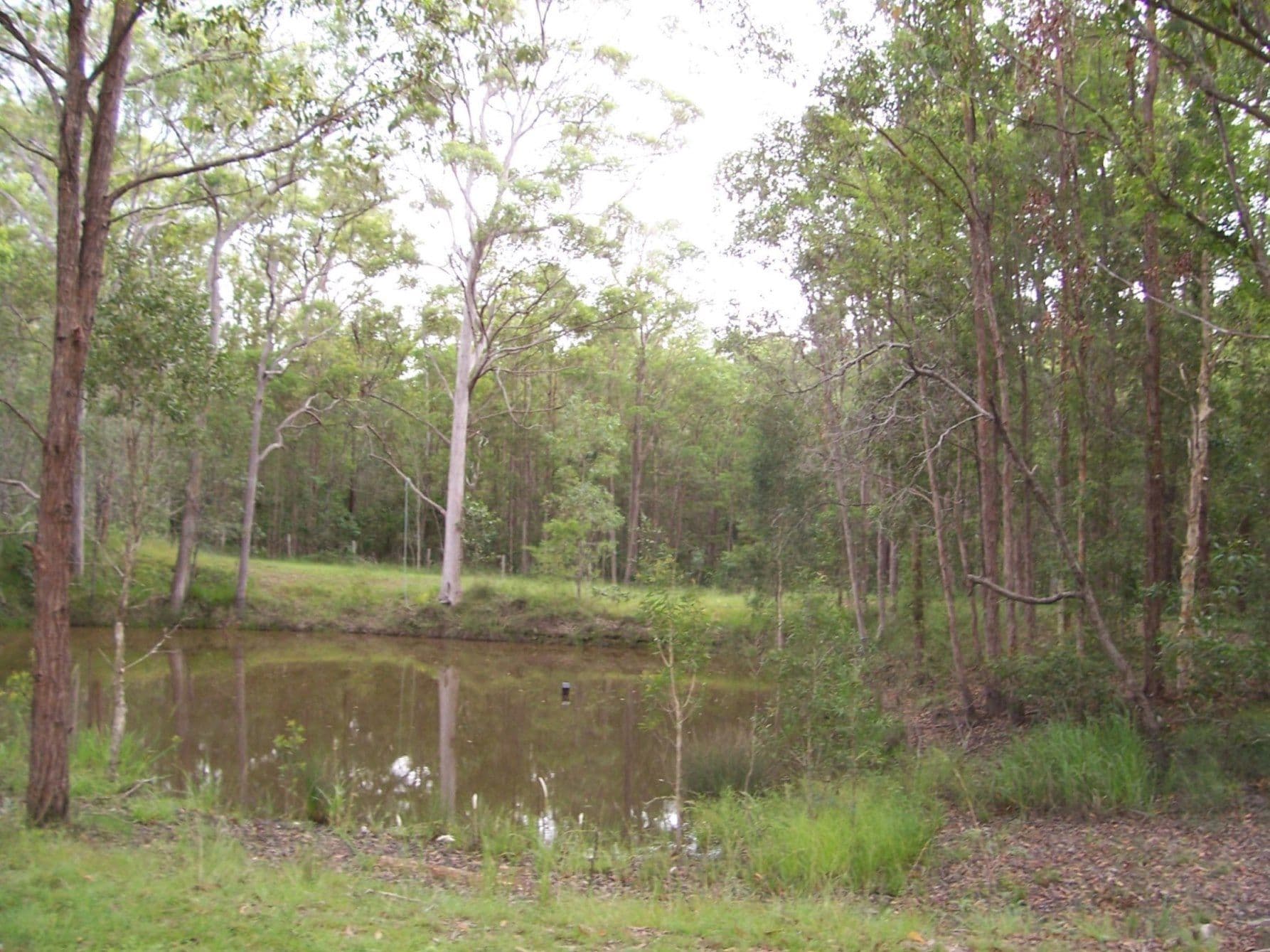 22 Allarado Place, TAMAREE QLD 4570, Tamaree - Thumbnail 8