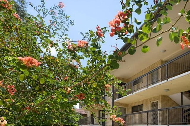 8 Prince Street, LOGAN CENTRAL QLD 4114, Logan Central - Thumbnail 2