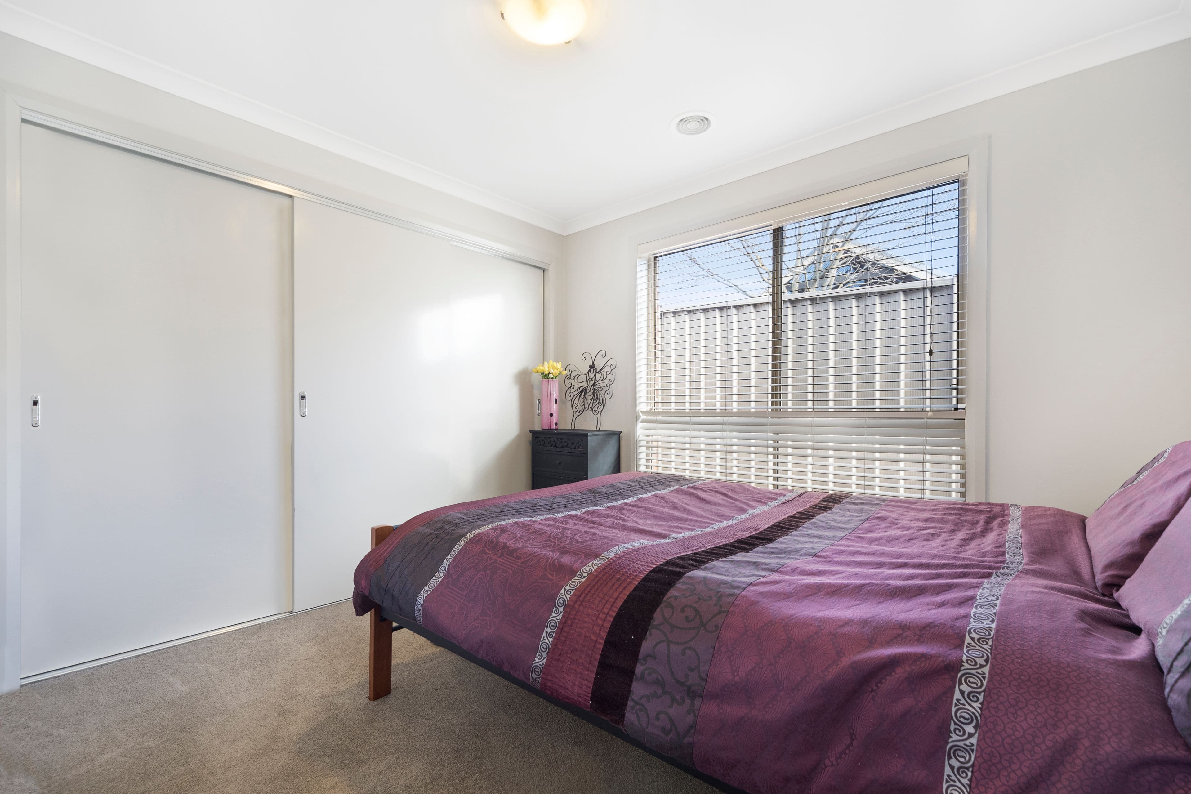 31 Heales Street, Mount Pleasant VIC 3350, Mount Pleasant - Thumbnail 5