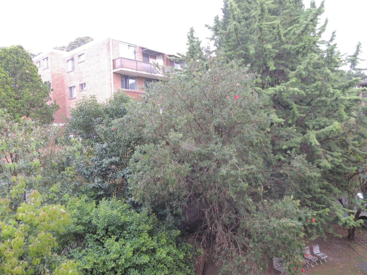 9 GAZA Road, WEST RYDE NSW 2114, West Ryde - Thumbnail 7