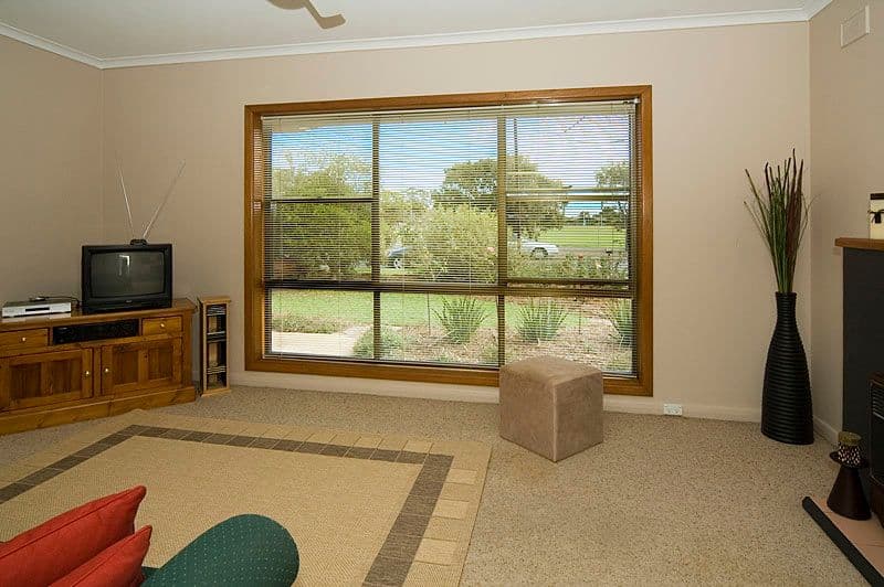 14 Ferry Avenue, PLYMPTON PARK SA 5038, Plympton Park - Thumbnail 4