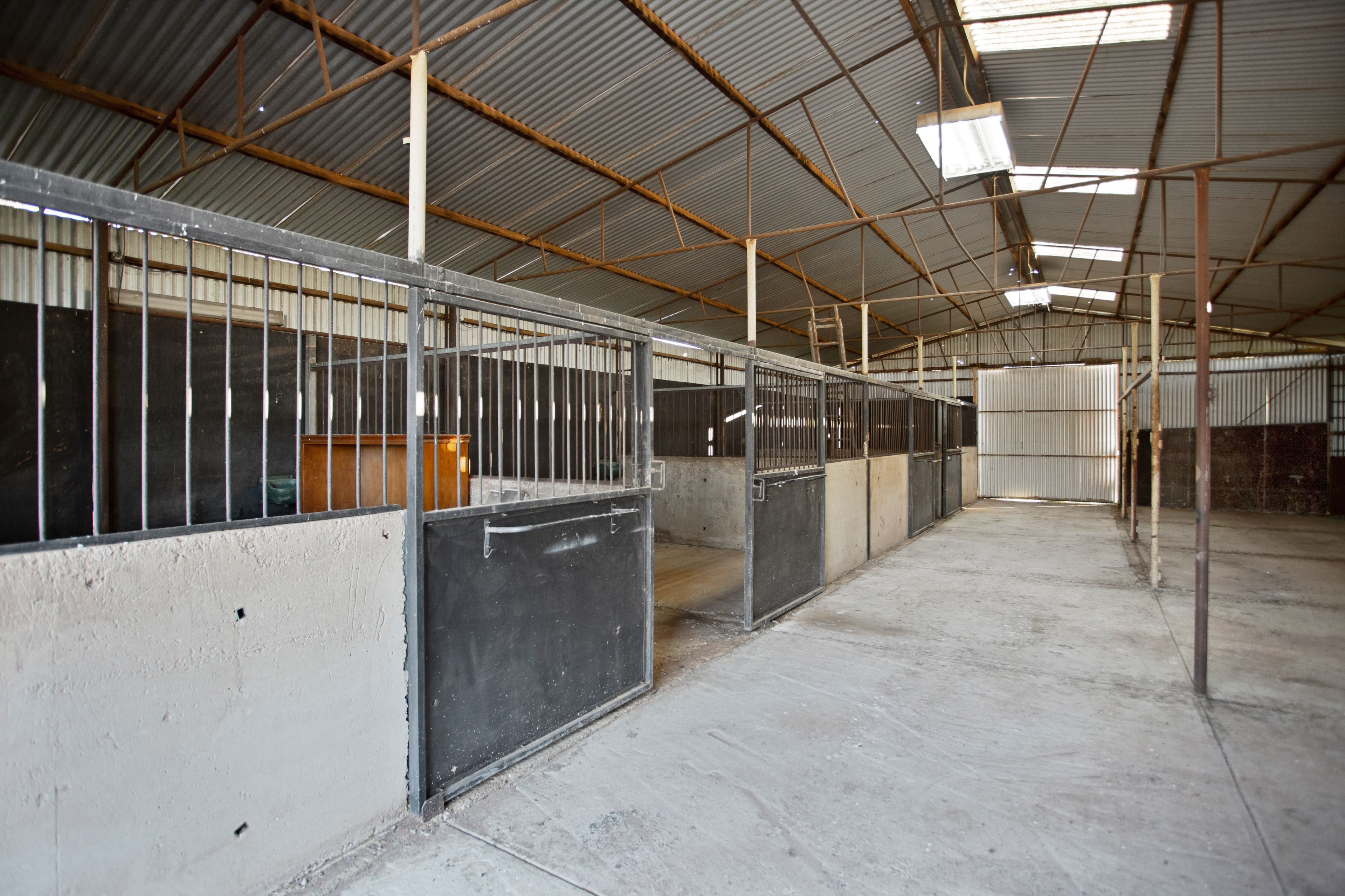 704 Harris Road, Wasleys SA 5400, Wasleys - Image 1