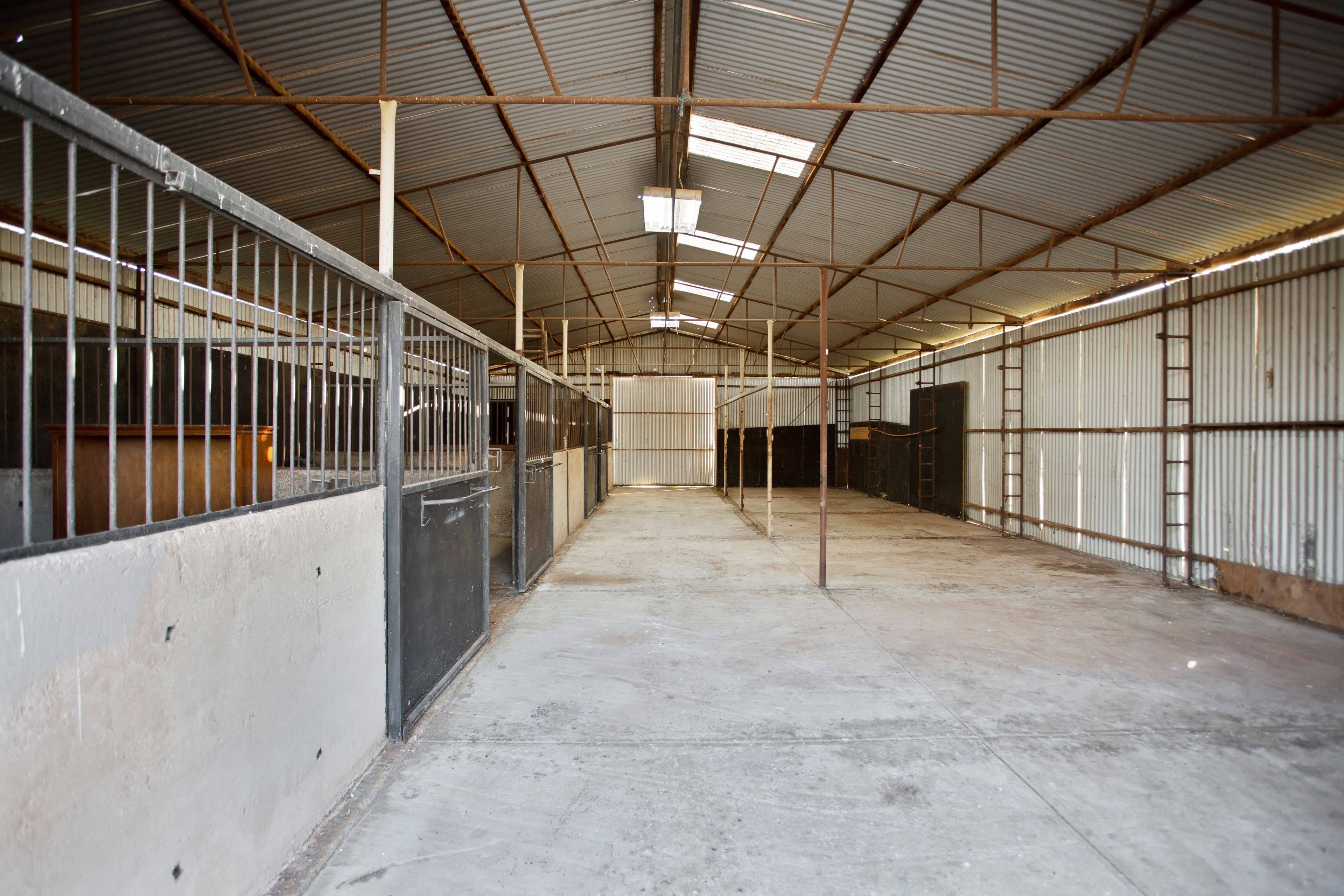 704 Harris Road, Wasleys SA 5400, Wasleys - Thumbnail 3
