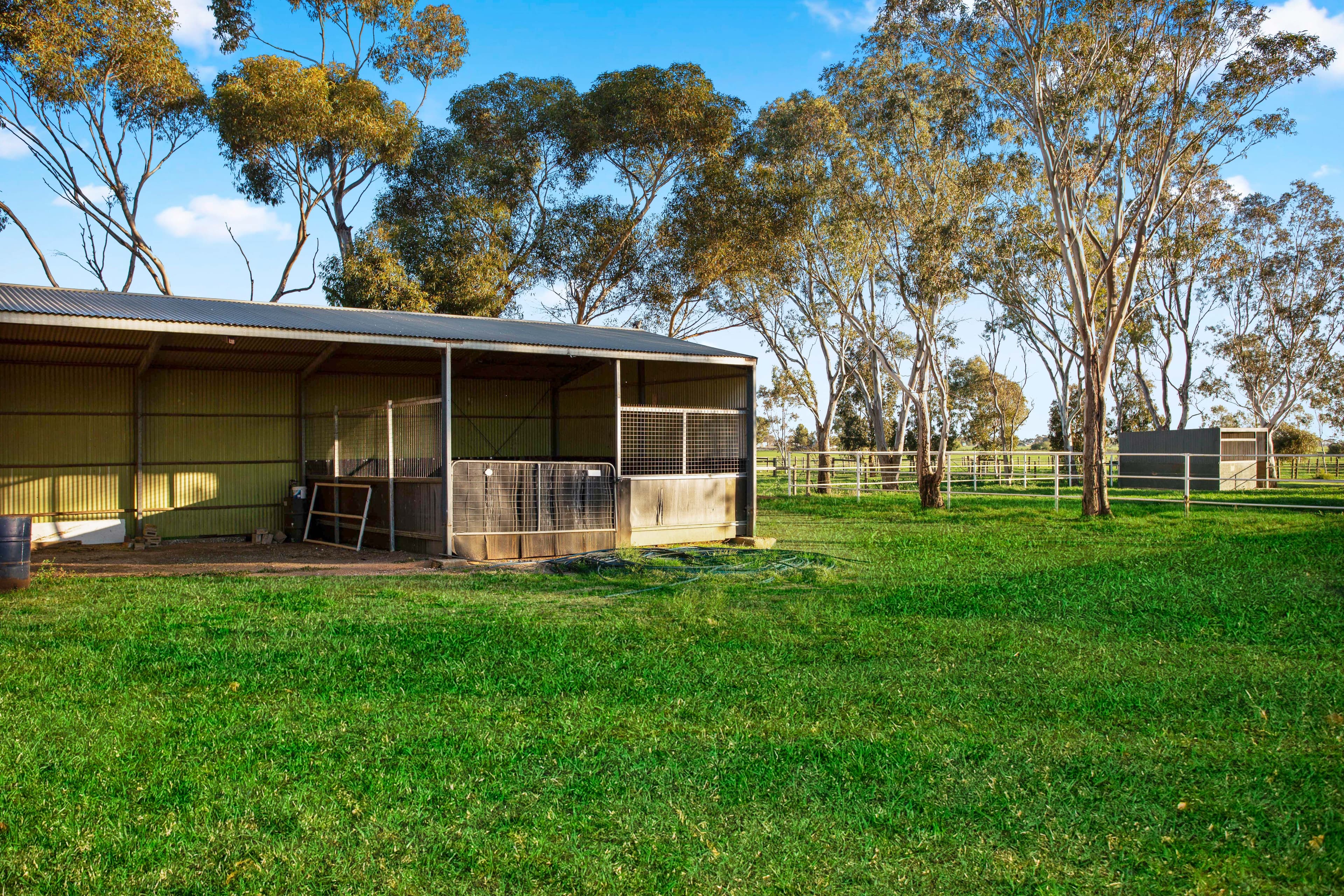 704 Harris Road, Wasleys SA 5400, Wasleys - Thumbnail 4