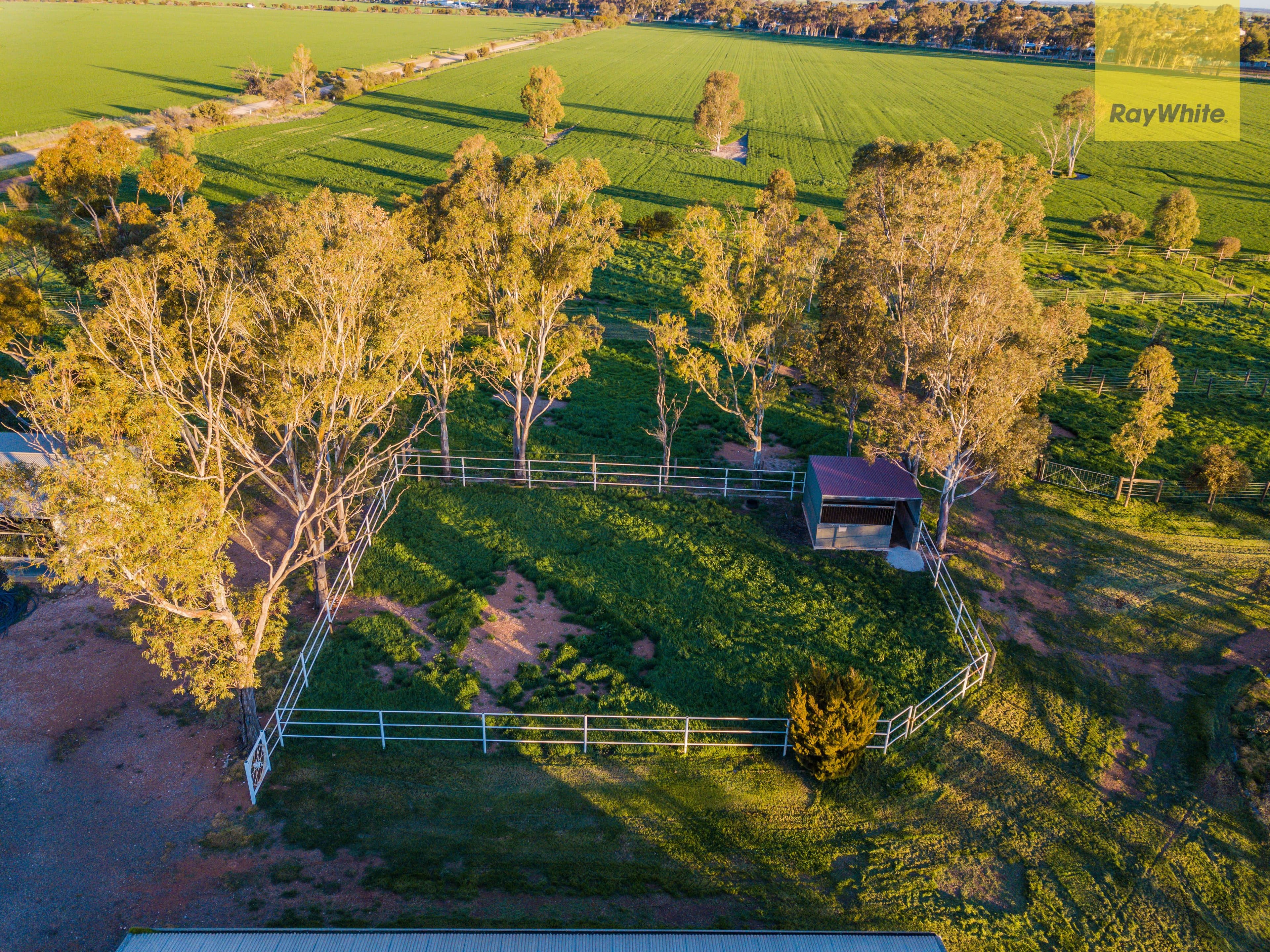 704 Harris Road, Wasleys SA 5400, Wasleys - Thumbnail 5