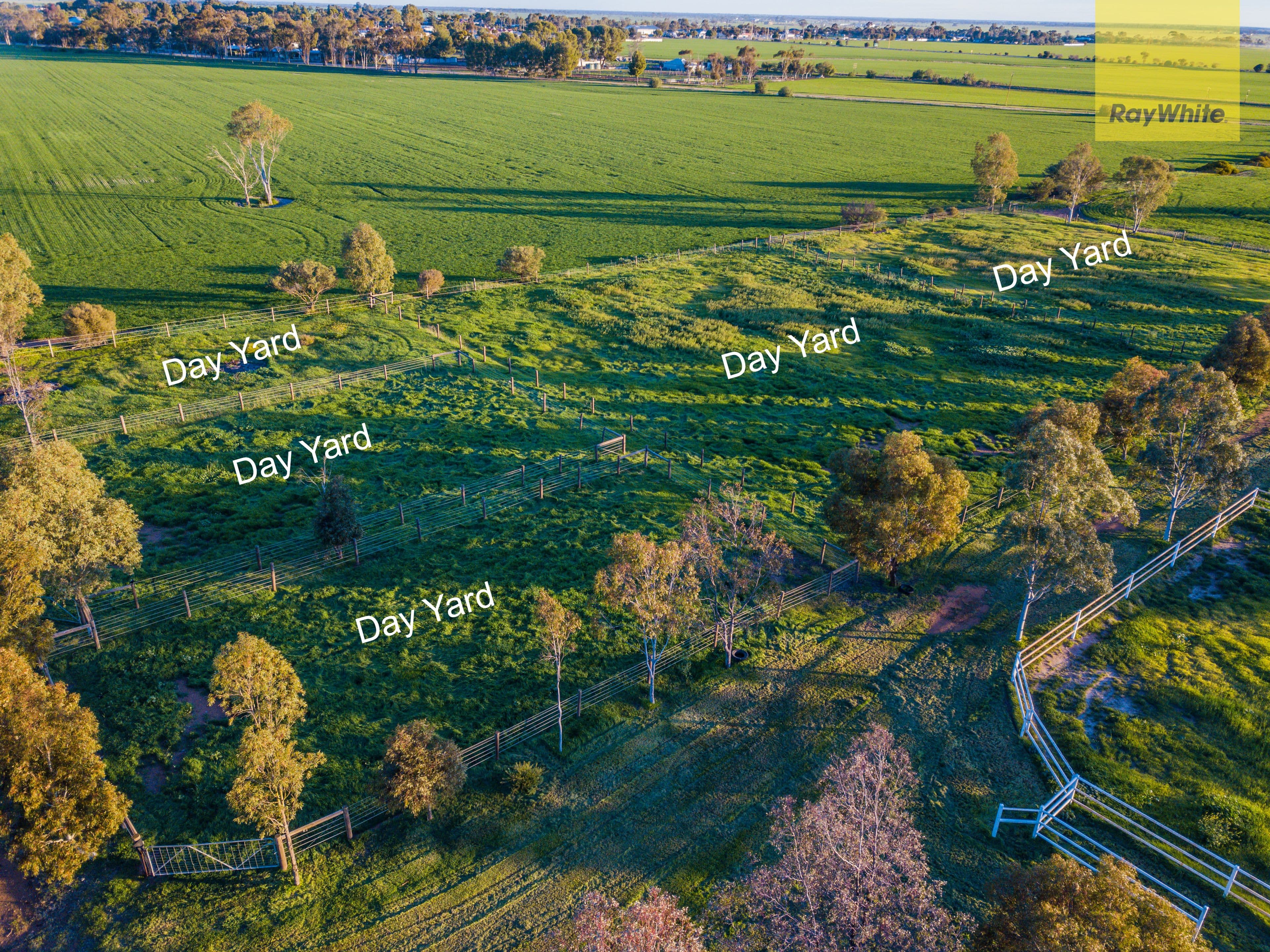 704 Harris Road, Wasleys SA 5400, Wasleys - Thumbnail 6