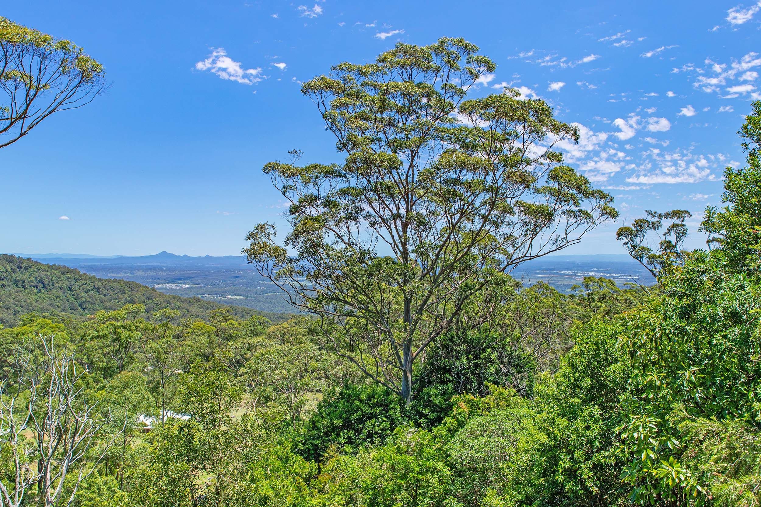 140 -144 Macdonnell Road, Tamborine Mountain QLD 4272, Tamborine Mountain - Thumbnail 8