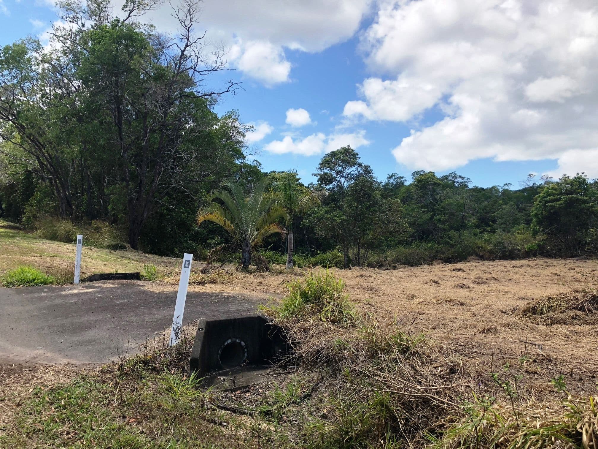 Lot 342 Leilas Way, Kuranda QLD 4881, Kuranda - Image 1
