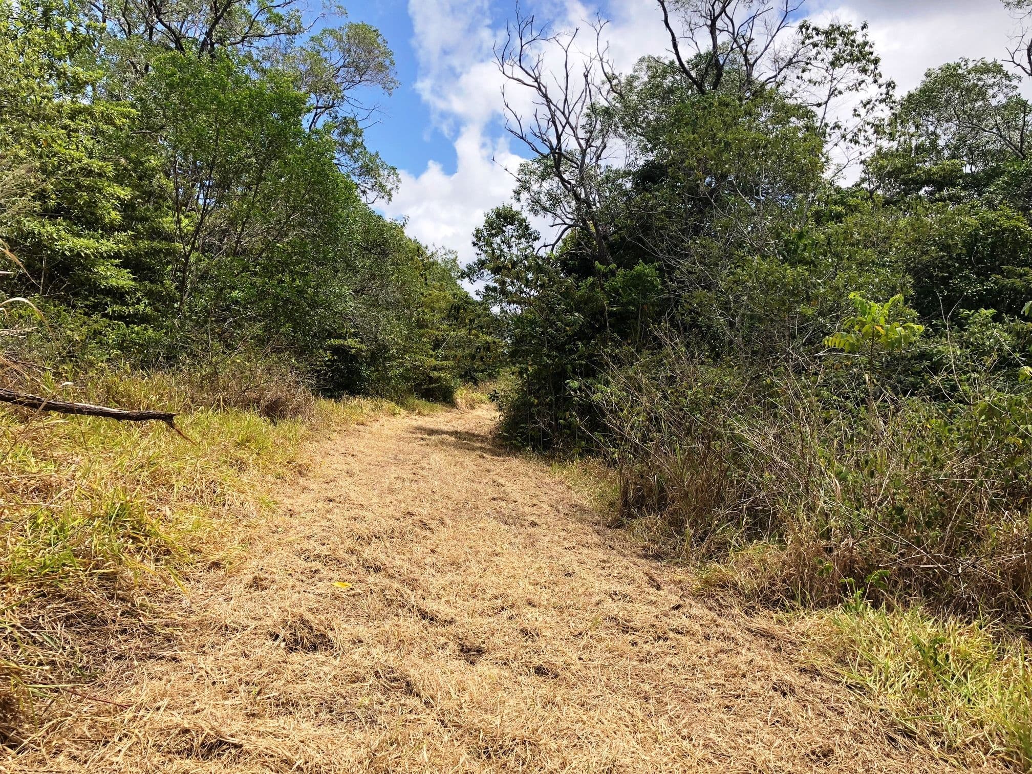 Lot 342 Leilas Way, Kuranda QLD 4881, Kuranda - Thumbnail 3