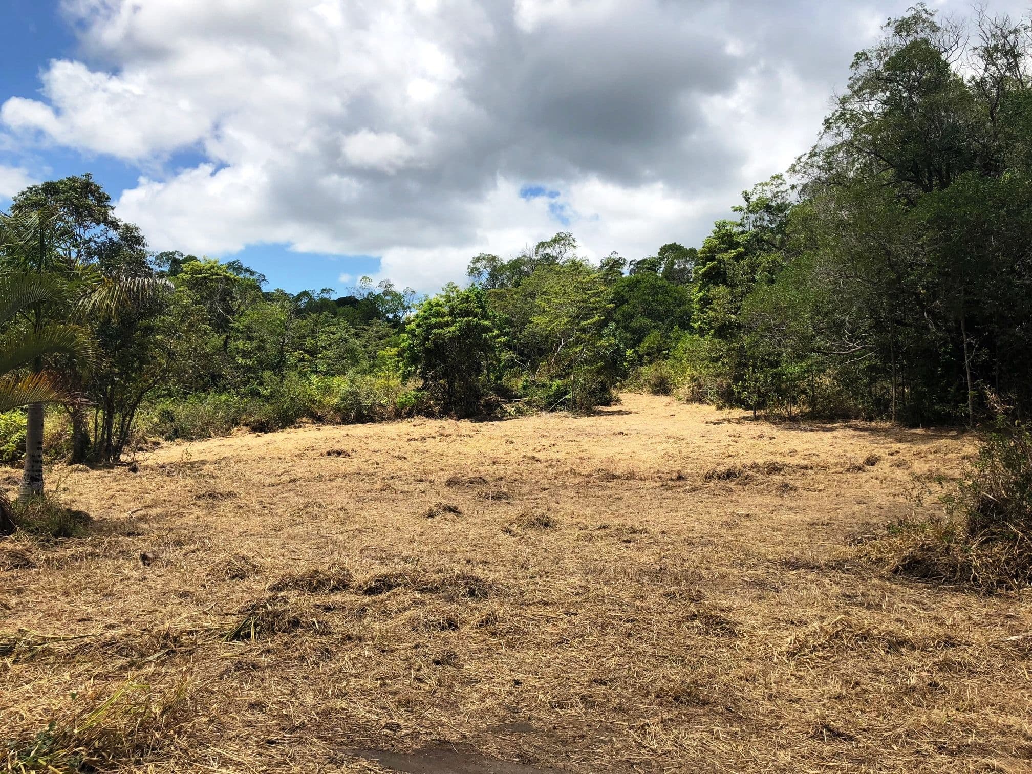 Lot 342 Leilas Way, Kuranda QLD 4881, Kuranda - Thumbnail 4