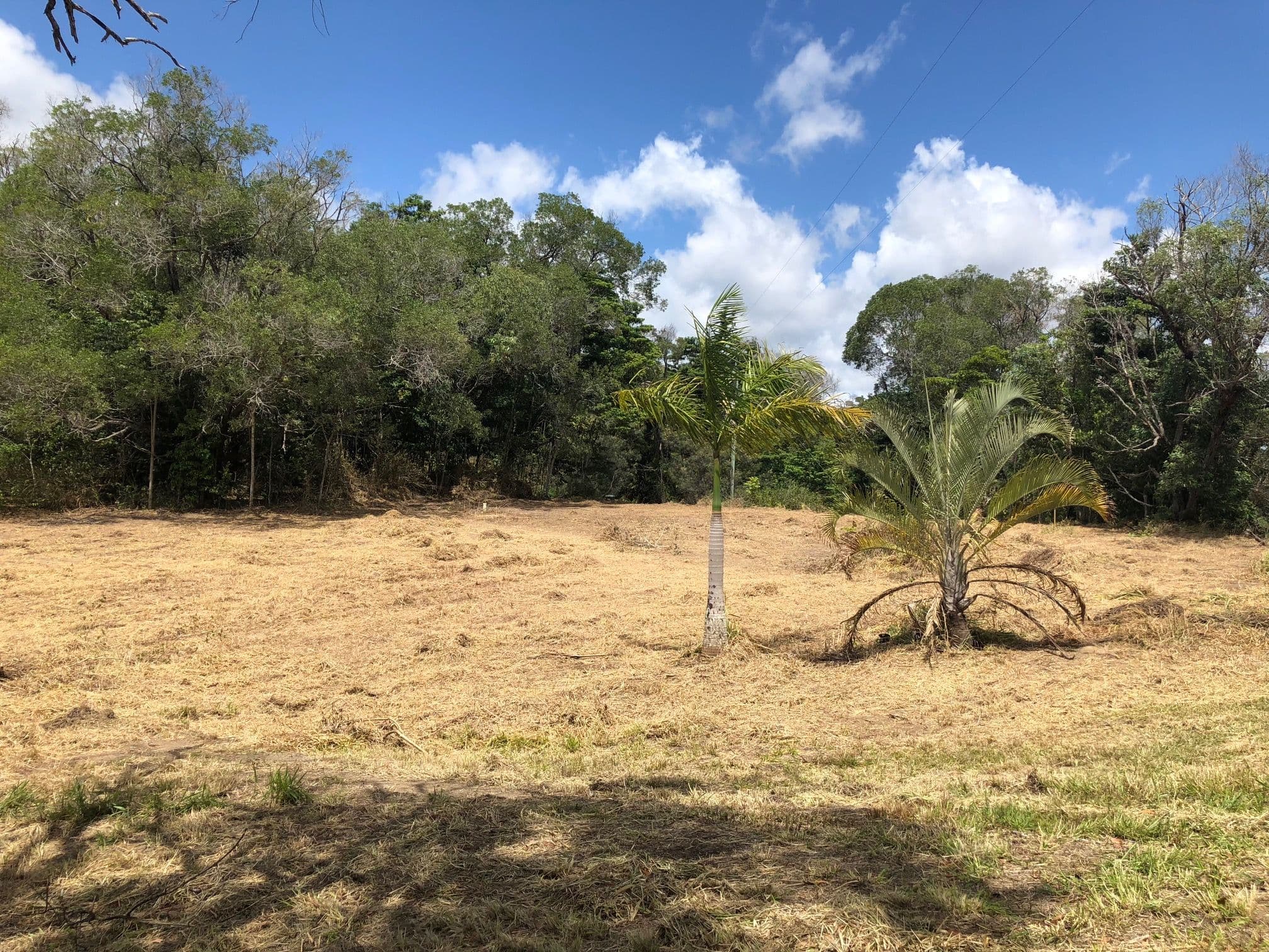 Lot 342 Leilas Way, Kuranda QLD 4881, Kuranda - Thumbnail 5