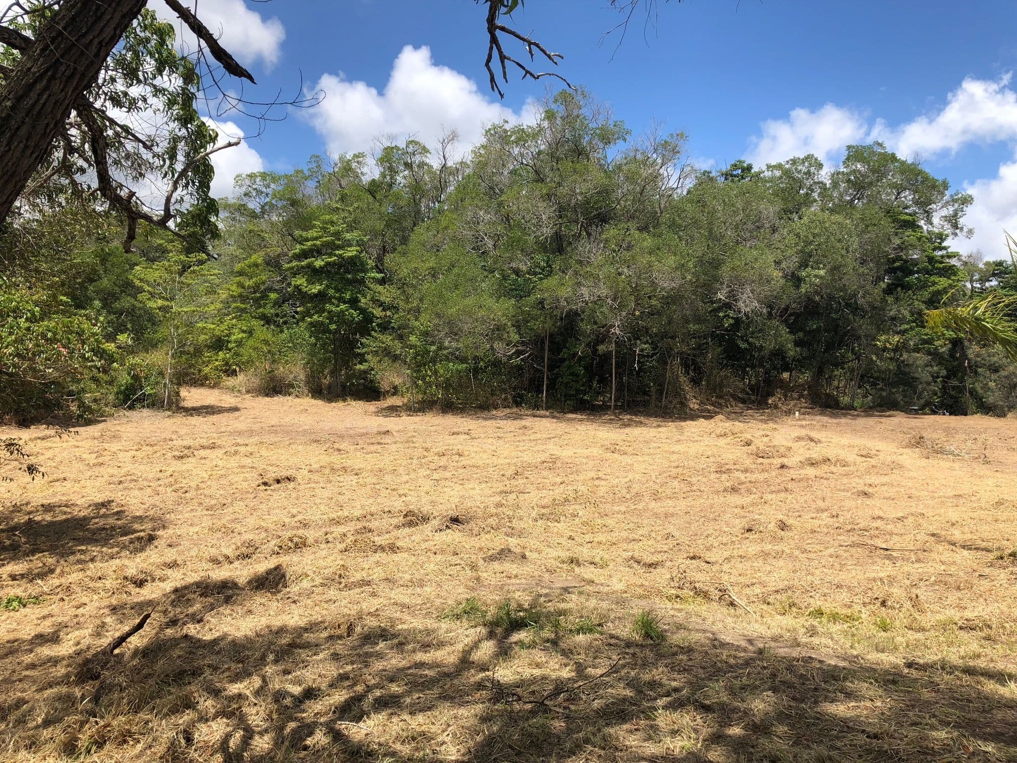Lot 342 Leilas Way, Kuranda QLD 4881, Kuranda - Thumbnail 6
