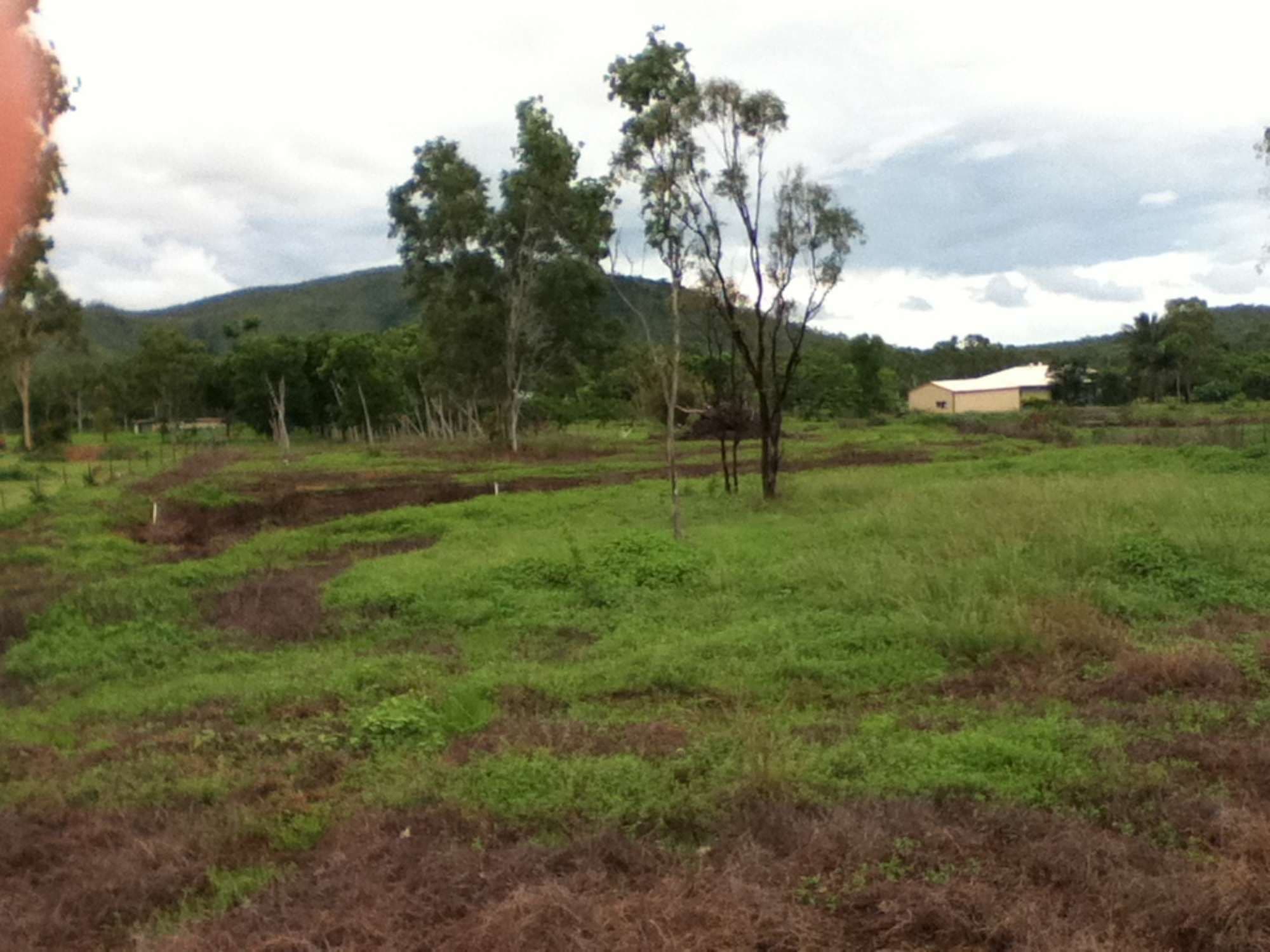 2t Bill Court, ALLIGATOR CREEK QLD 4816, Alligator Creek - Image 1