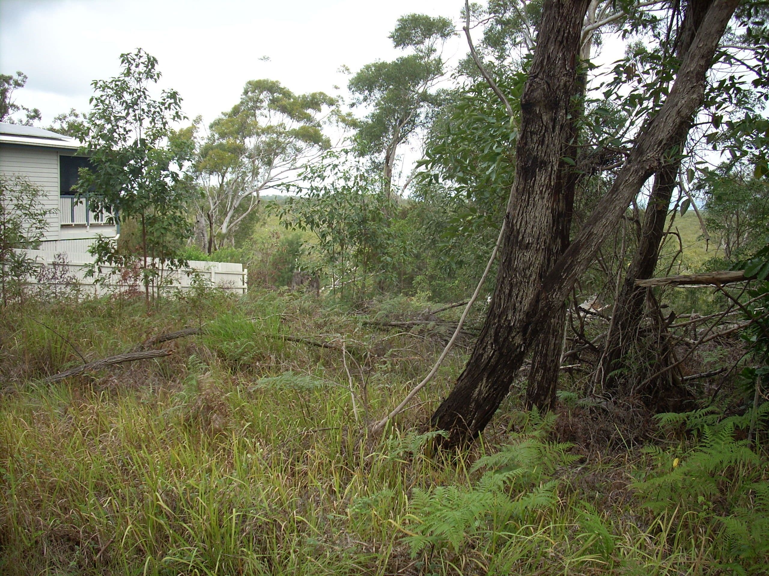 32 Deenya Parade, Russell Island QLD 4184, Russell Island - Thumbnail 3