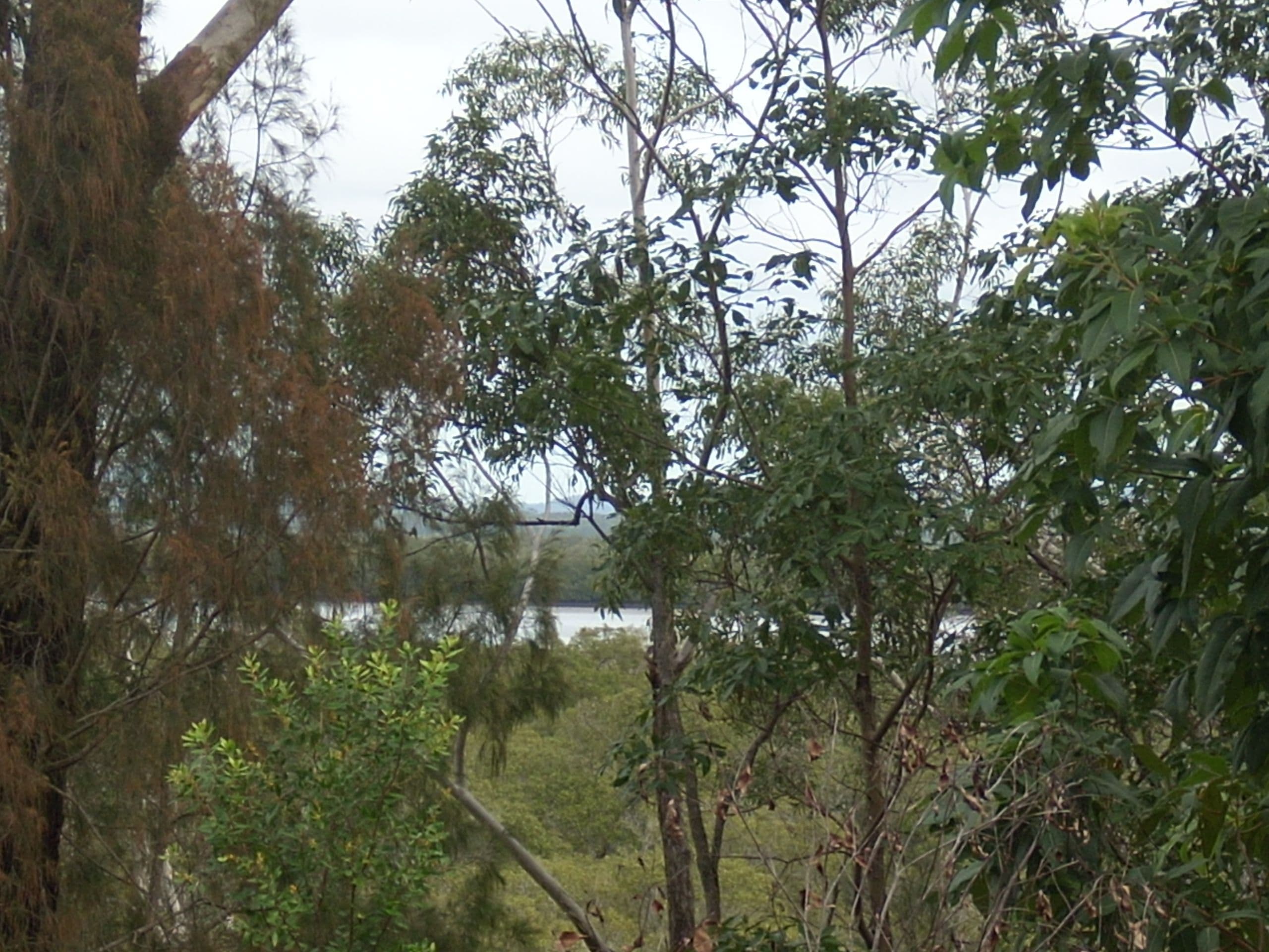 32 Deenya Parade, Russell Island QLD 4184, Russell Island - Thumbnail 5