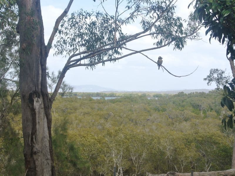 32 Deenya Parade, Russell Island QLD 4184, Russell Island - Thumbnail 7