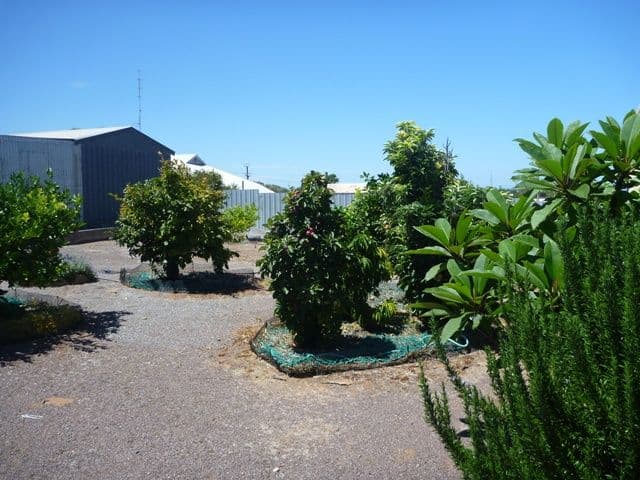10 First Street, ARNO BAY SA 5603, Arno Bay - Thumbnail 4