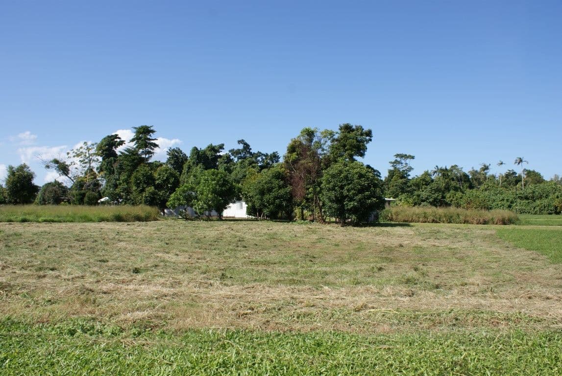 12  Abernethy Street, Shepparton, Shepparton - Thumbnail 2