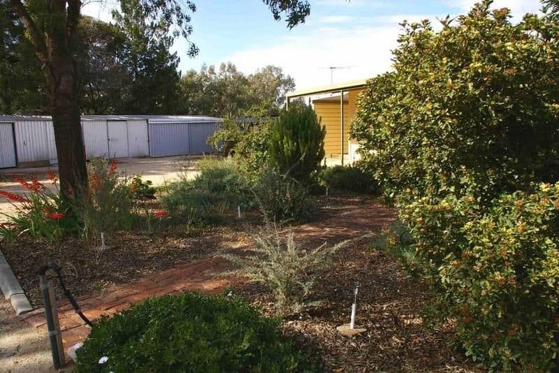 5 Bookmark Avenue, RENMARK SA 5341, Renmark West - Thumbnail 8