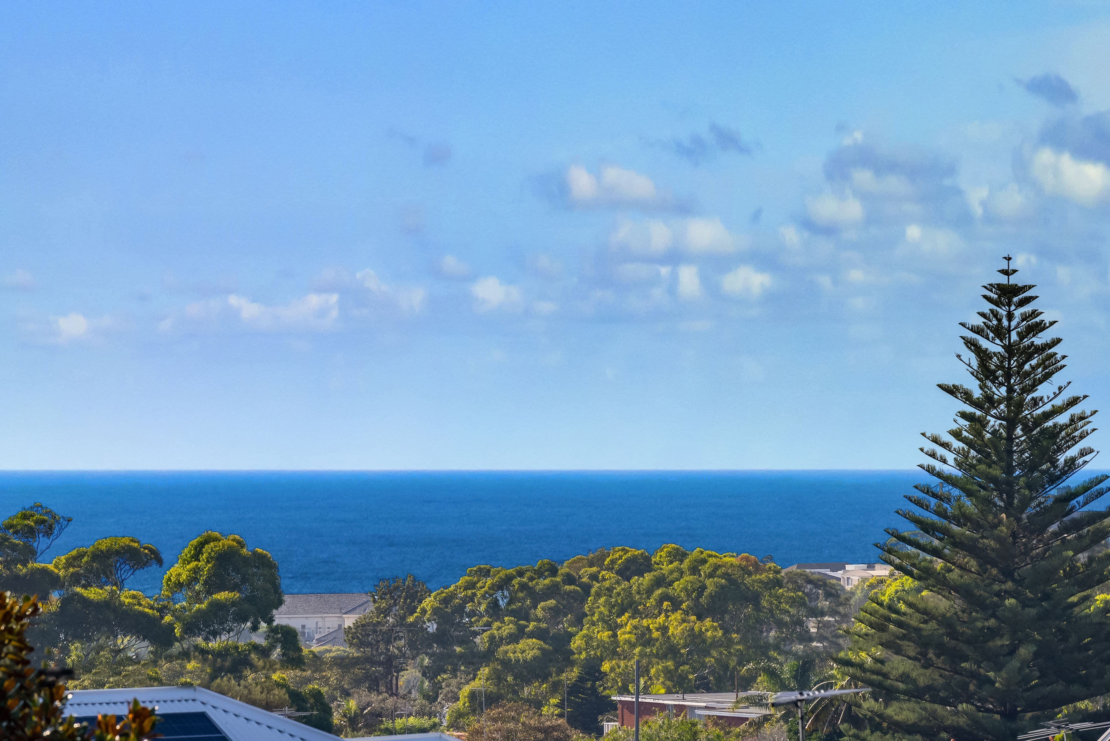 31A Varna Street, Clovelly NSW 2031, Clovelly - Thumbnail 2