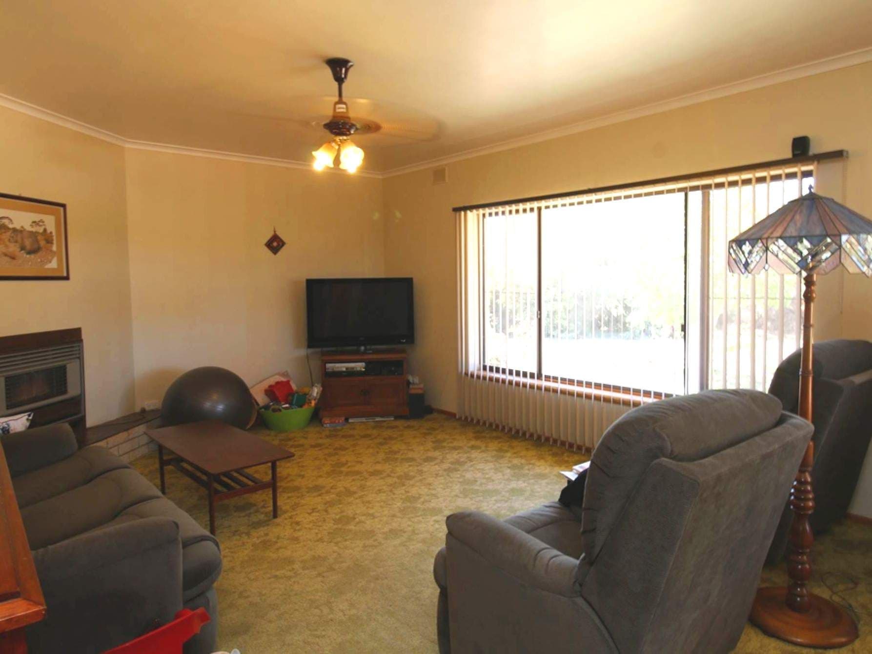 6 Cockin Road, Barmera SA 5345, Barmera - Thumbnail 3