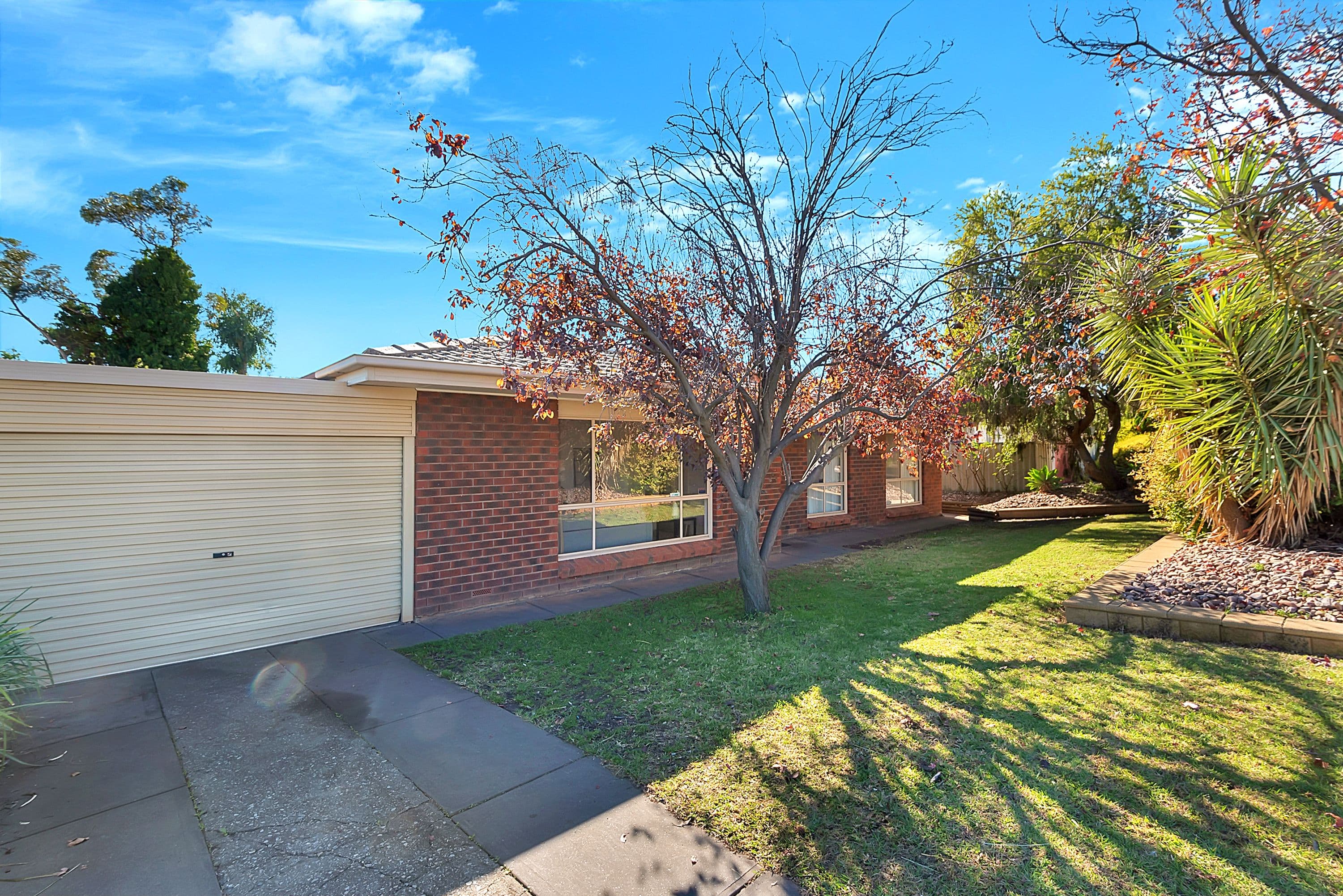 24 Kurrajong Avenue, Surrey Downs SA 5126, Surrey Downs - Thumbnail 3